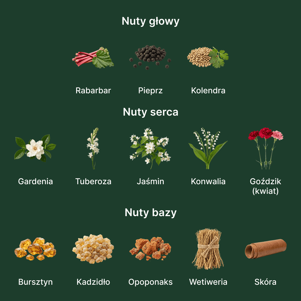 Amouage Honour Woman EDP - nuty zapachowe: głowy, serca i bazy