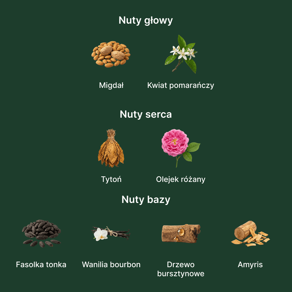 BDK Parfums Velvet Tonka EDP - nuty zapachowe: głowy, serca i bazy