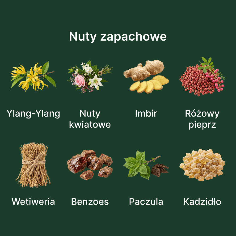 Diptyque Eau Moheli EDT - nuty zapachowe: głowy, serca i bazy