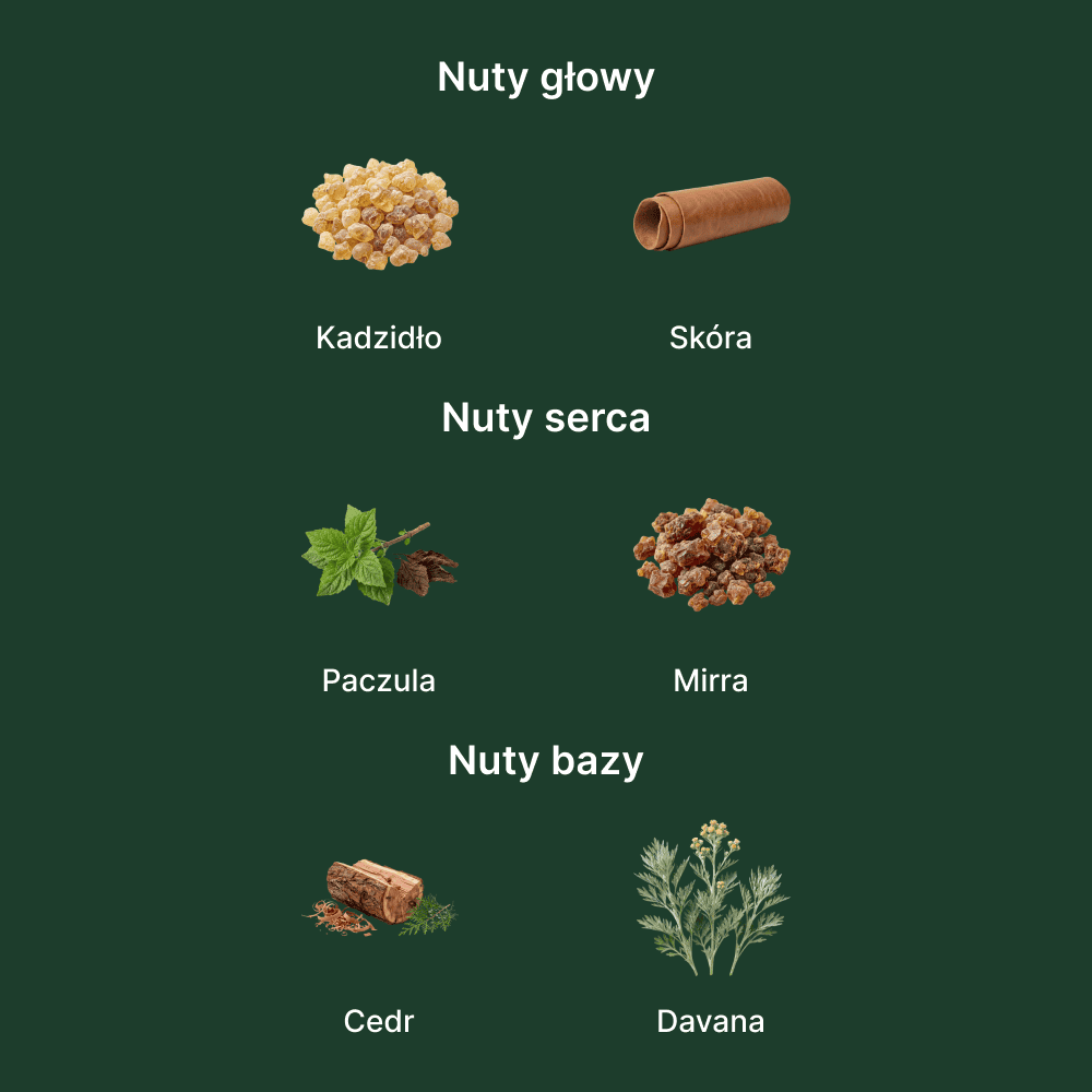 Hugo Boss Bottled Absolu EDP - nuty zapachowe: głowy, serca i bazy