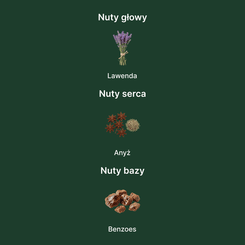 Jean Paul Gaultier Le Male In Blue EDP - nuty zapachowe: głowy, serca i bazy