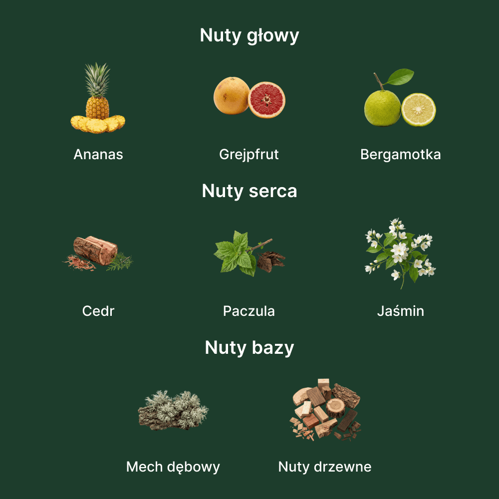 Nishane Hacivat Extrait de Parfum - nuty zapachowe: głowy, serca i bazy