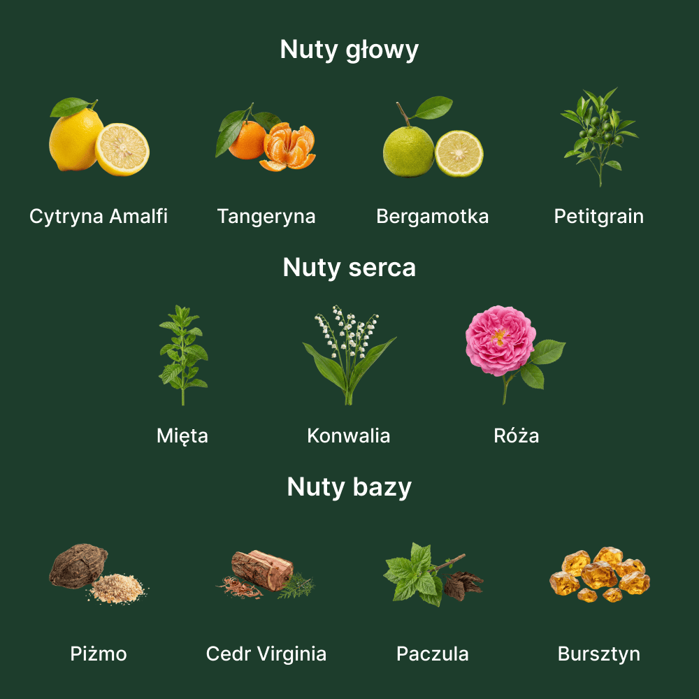 Xerjoff XJ 1861 Renaissance EDP - nuty zapachowe: głowy, serca i bazy