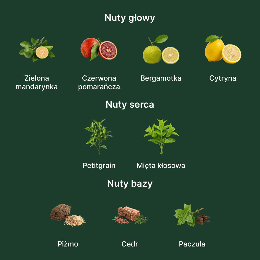 Acqua di Parma Mandarino di Sicilia EDT - nuty zapachowe: głowy, serca i bazy