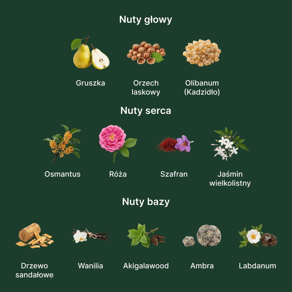 Amouage Guidance EDP - nuty zapachowe: głowy, serca i bazy