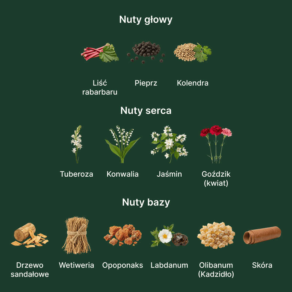 Amouage Honour 43 Woman Extrait - nuty zapachowe: głowy, serca i bazy