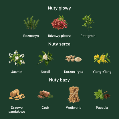 Amouage Reflection Man EDP - nuty zapachowe: głowy, serca i bazy