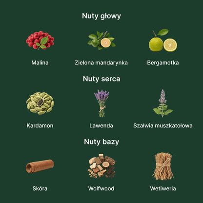 Azzaro Wanted Forever Elixir - nuty zapachowe: głowy, serca i bazy