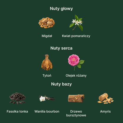 BDK Parfums Velvet Tonka EDP - nuty zapachowe: głowy, serca i bazy