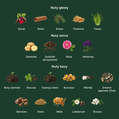 Bohoboco Polish Potatoes - nuty zapachowe: głowy, serca i bazy
