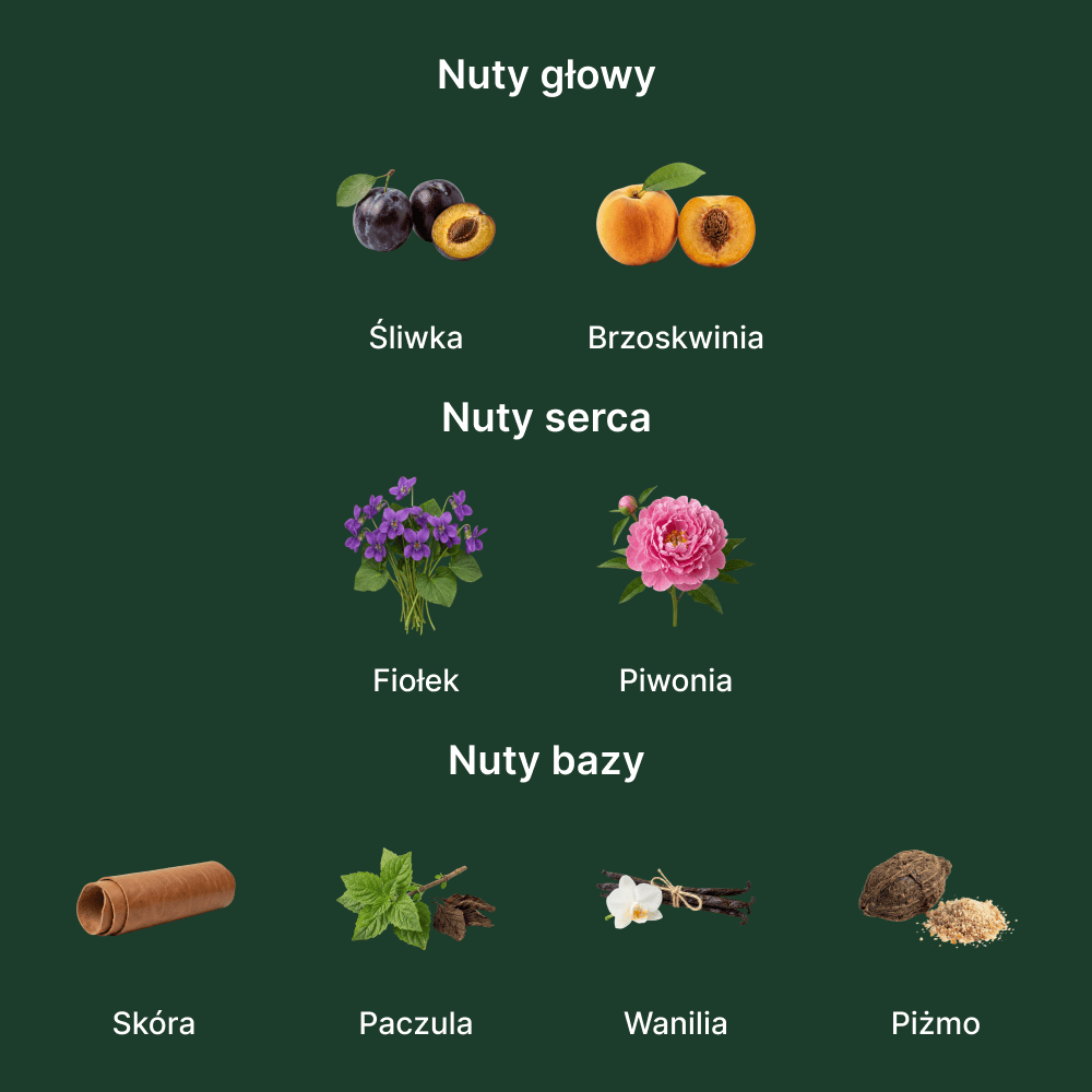 Byredo Bibliothèque EDP - nuty zapachowe: głowy, serca i bazy