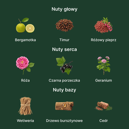 Creed Wild Vetiver EDP - nuty zapachowe: głowy, serca i bazy