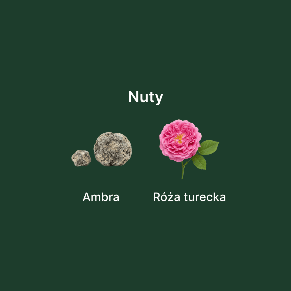 Dior Ambre Nuit EDP - nuty zapachowe: głowy, serca i bazy