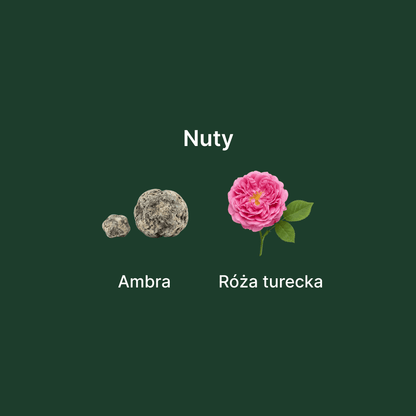 Dior Ambre Nuit EDP - nuty zapachowe: głowy, serca i bazy