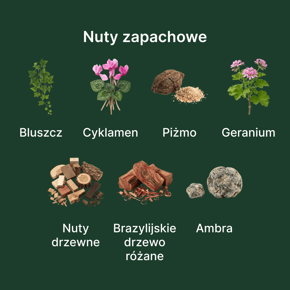 Diptyque Eau de Lierre EDT - nuty zapachowe: głowy, serca i bazy