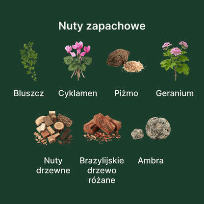 Diptyque Eau de Lierre EDT - nuty zapachowe: głowy, serca i bazy