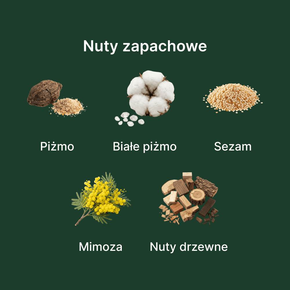 Diptyque L'Eau Papier EDT - nuty zapachowe: głowy, serca i bazy