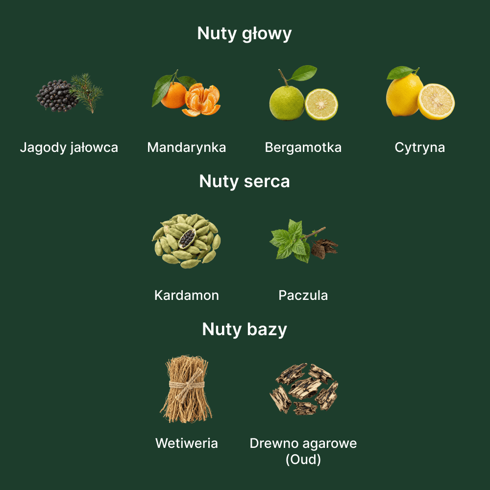 Fragrance One Date for Men Extrait de Parfum - nuty zapachowe: głowy, serca i bazy