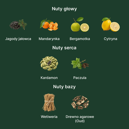 Fragrance One Date for Men Extrait de Parfum - nuty zapachowe: głowy, serca i bazy