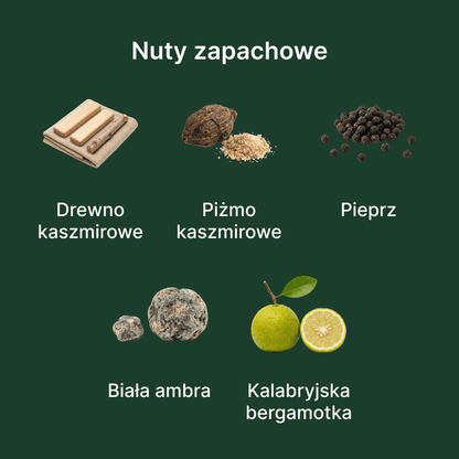 Fugazzi Angel Dust EDP - nuty zapachowe: głowy, serca i bazy