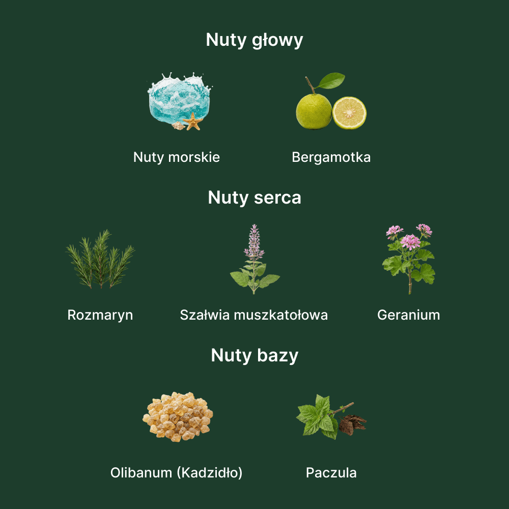 Giorgio Armani Acqua di Giò Parfum - nuty zapachowe: głowy, serca i bazy