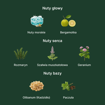 Giorgio Armani Acqua di Giò Parfum - nuty zapachowe: głowy, serca i bazy