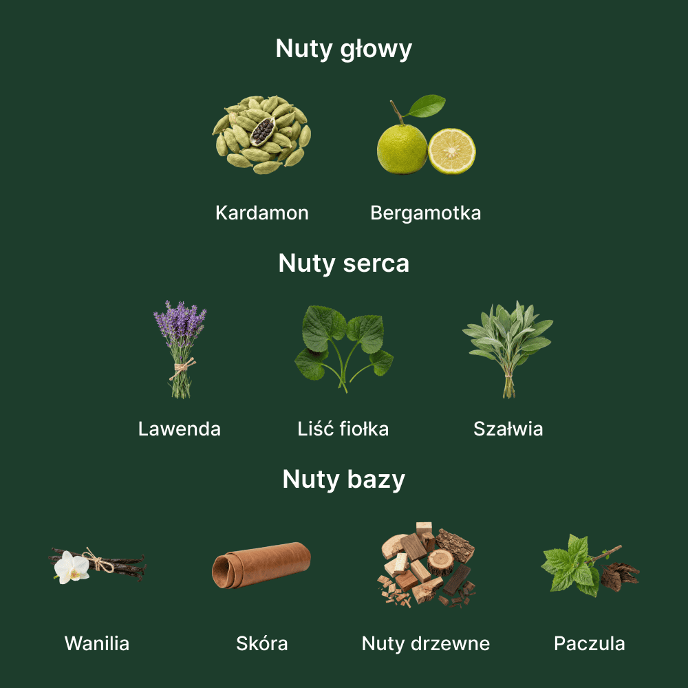 Giorgio Armani I will EDP - nuty zapachowe: głowy, serca i bazy