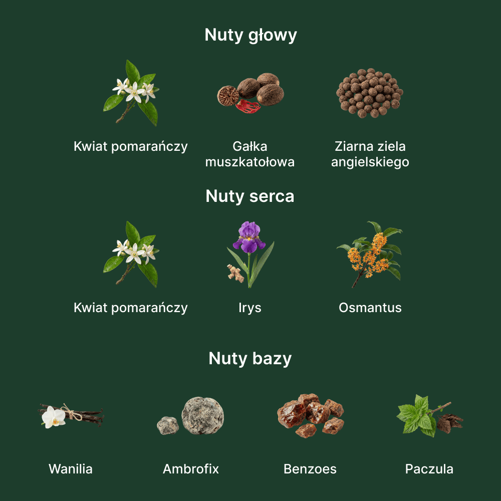 Gucci Guilty Elixir Pour Homme - nuty zapachowe: głowy, serca i bazy