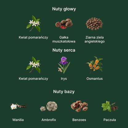 Gucci Guilty Elixir Pour Homme - nuty zapachowe: głowy, serca i bazy