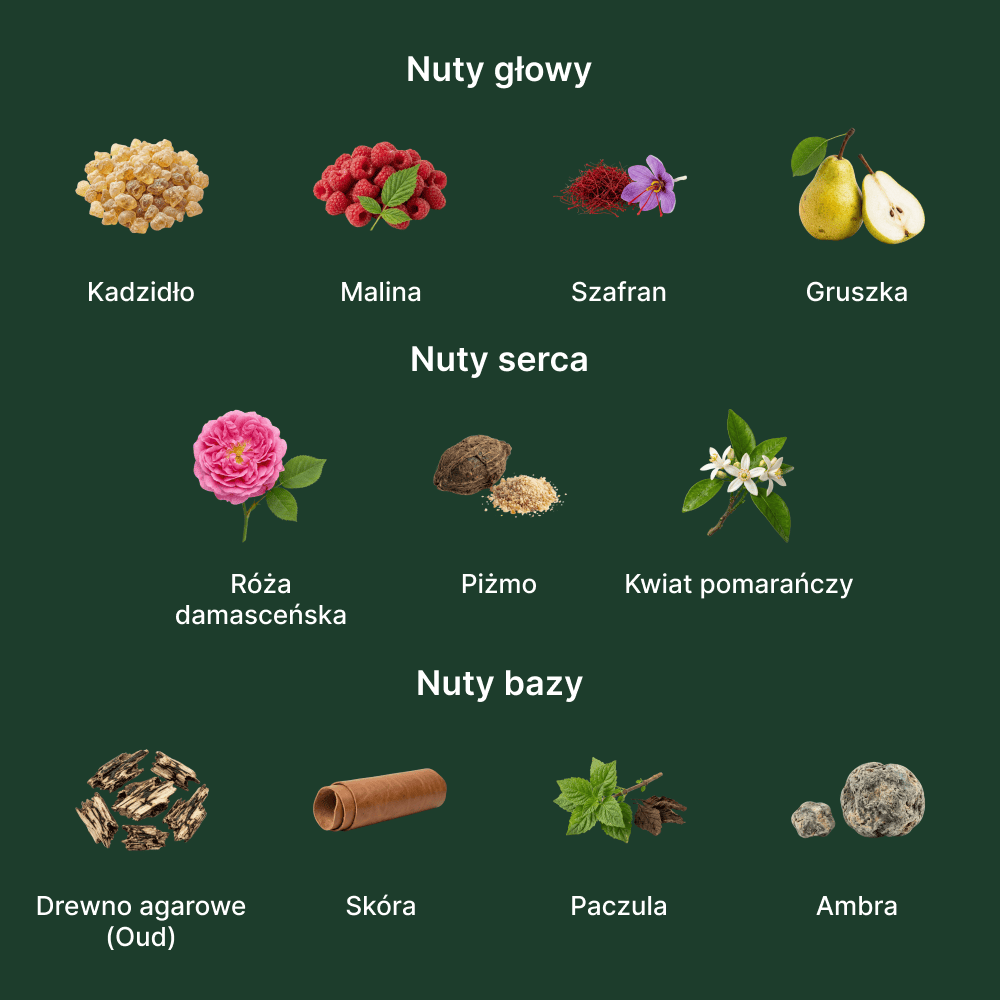 Gucci Oud Intense EDP - nuty zapachowe: głowy, serca i bazy