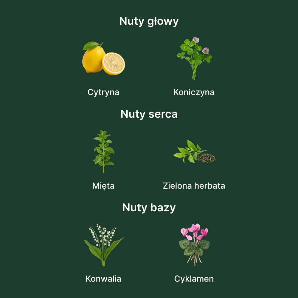 Guerlain Aqua Allegoria Herba Fresca EDT - nuty zapachowe: głowy, serca i bazy