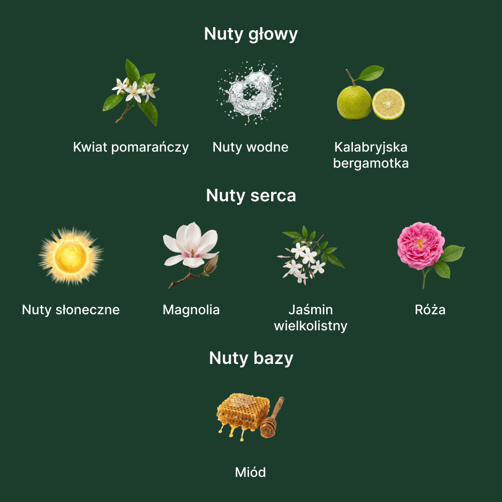 Guerlain Aqua Allegoria Nettare Di Sole EDT - nuty zapachowe: głowy, serca i bazy