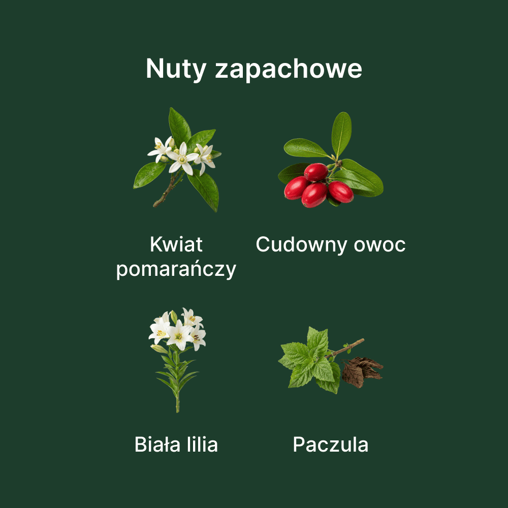 Hermès Barénia Pleine Fleur EDP - nuty zapachowe: głowy, serca i bazy