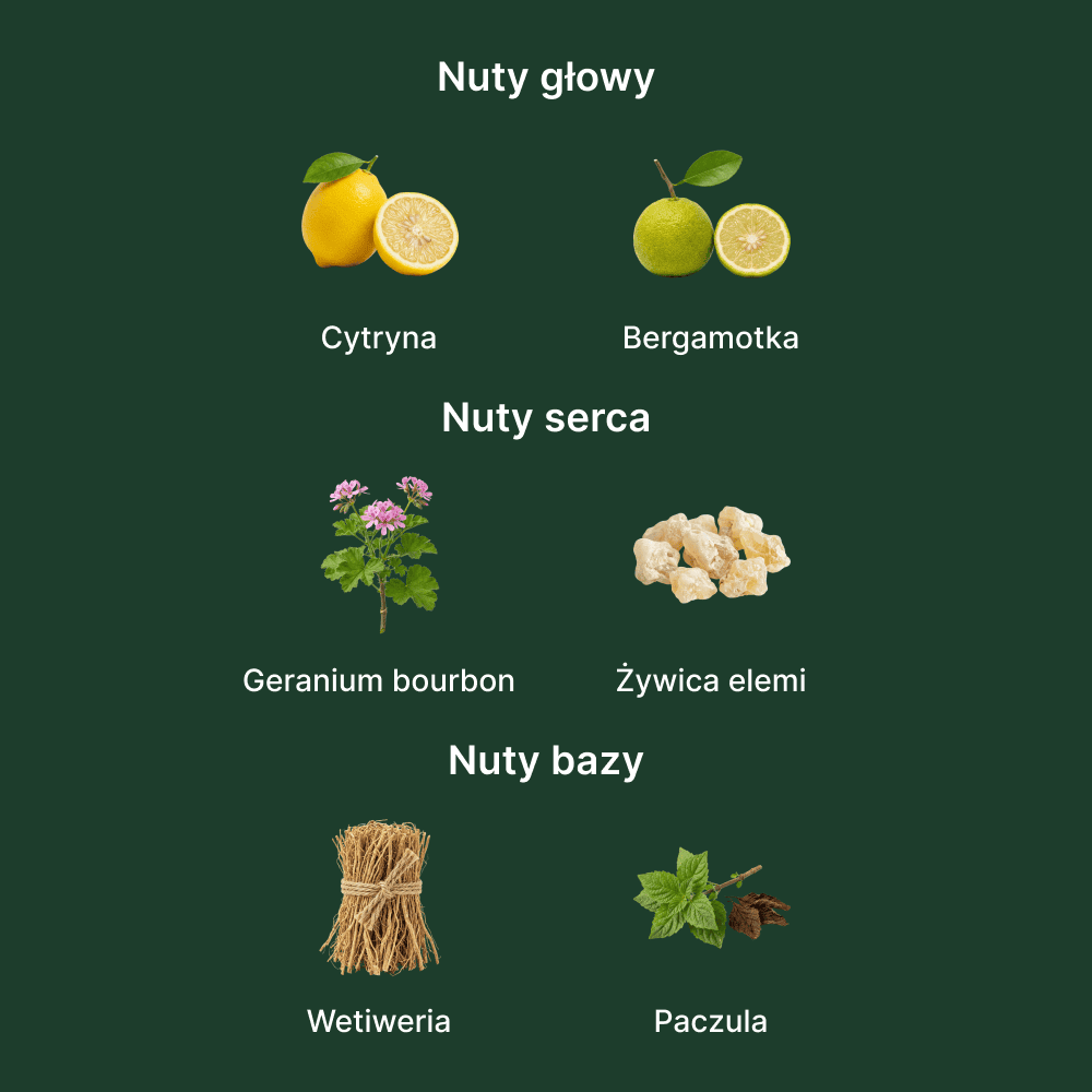 Hugo Boss Bottled Bold Citrus - nuty zapachowe: głowy, serca i bazy