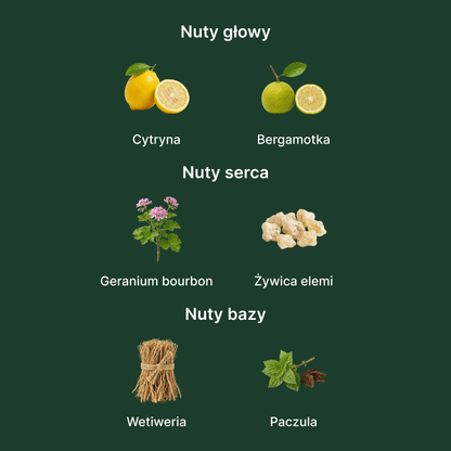 Hugo Boss Bottled Bold Citrus - nuty zapachowe: głowy, serca i bazy