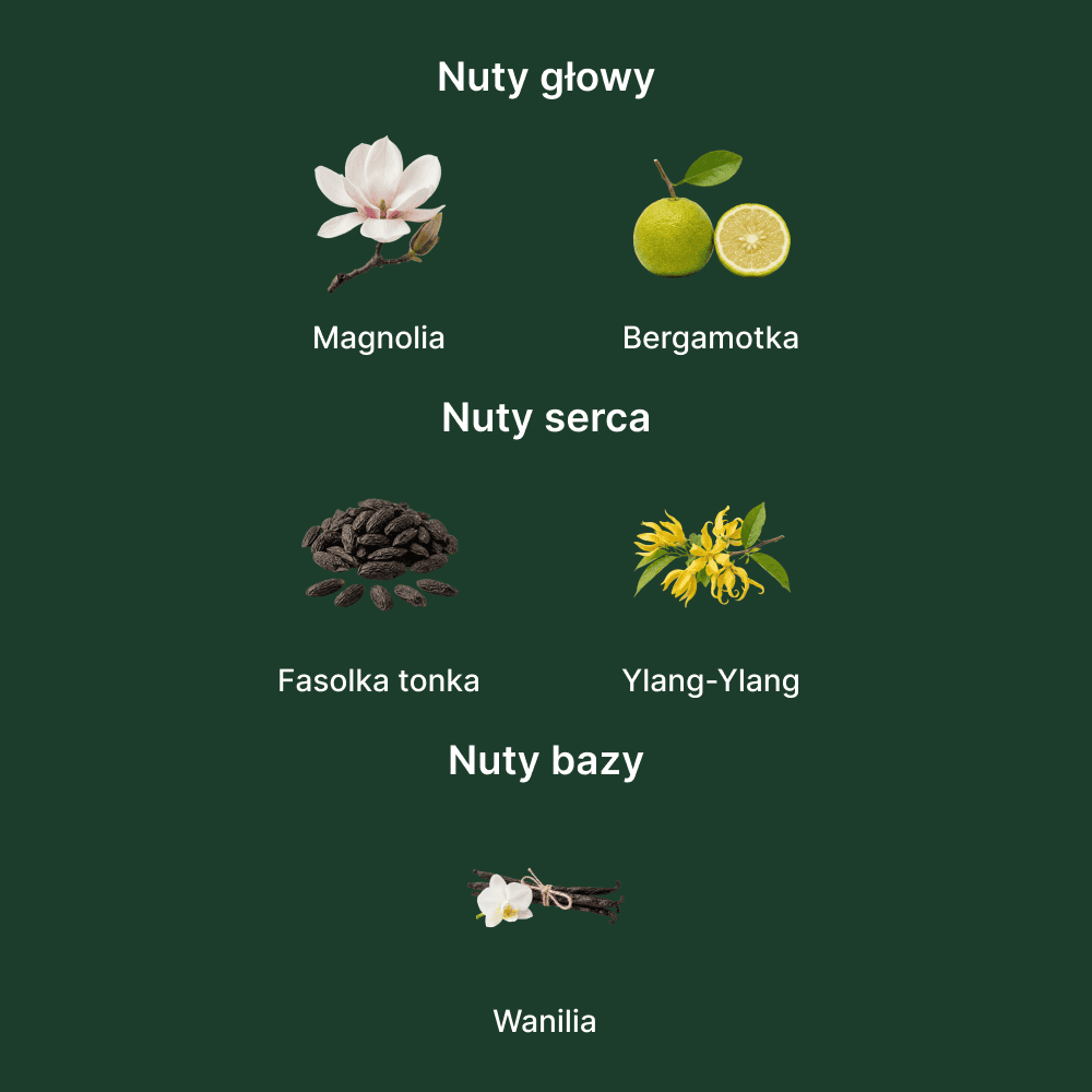 Initio Parfums Lift Me Up Extrait - nuty zapachowe: głowy, serca i bazy