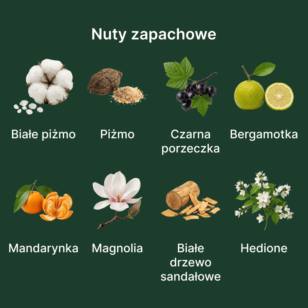 Initio Parfums Privés Musk Therapy EDP - nuty zapachowe: głowy, serca i bazy
