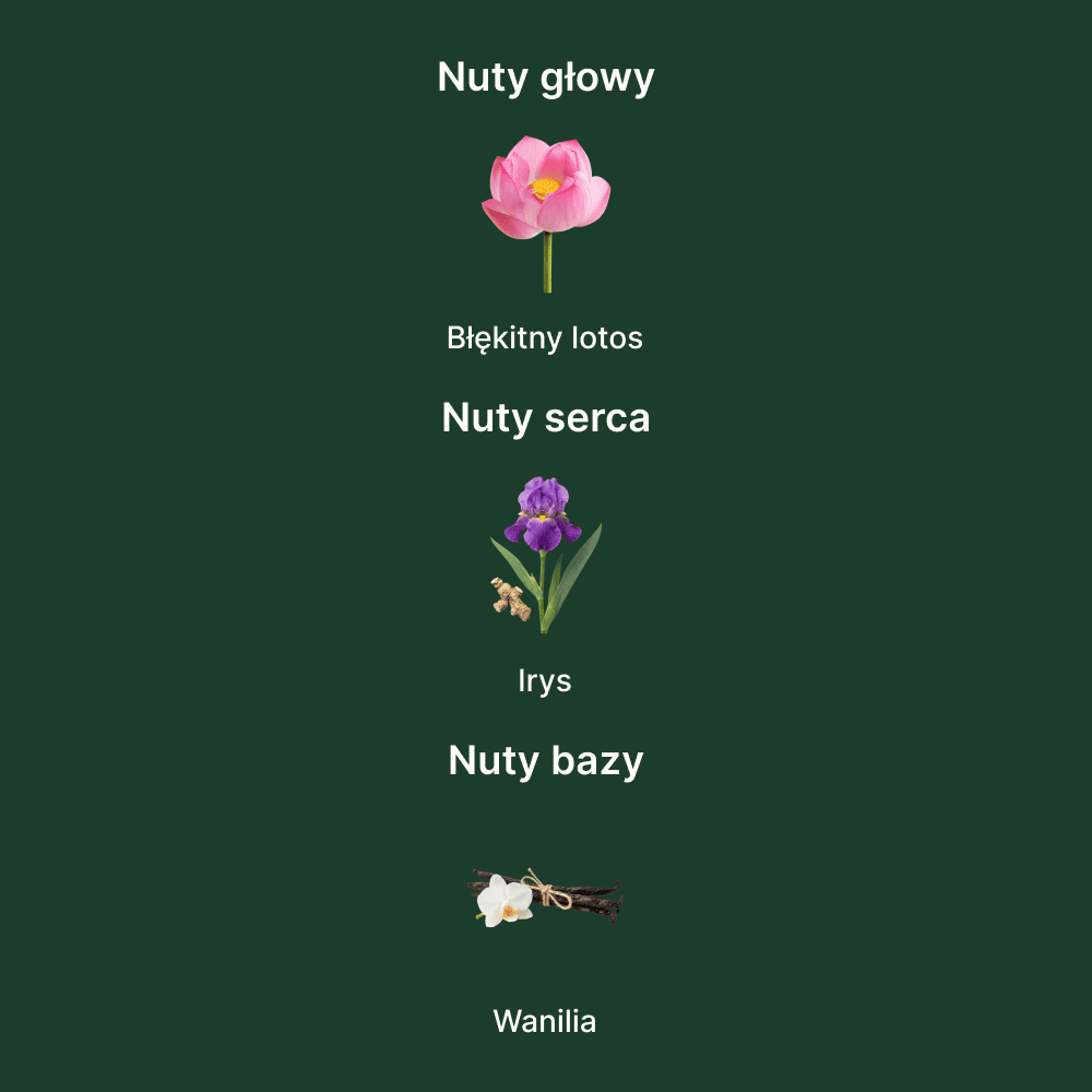 Jean Paul Gaultier La Belle Paradise Garden EDP - nuty zapachowe: głowy, serca i bazy