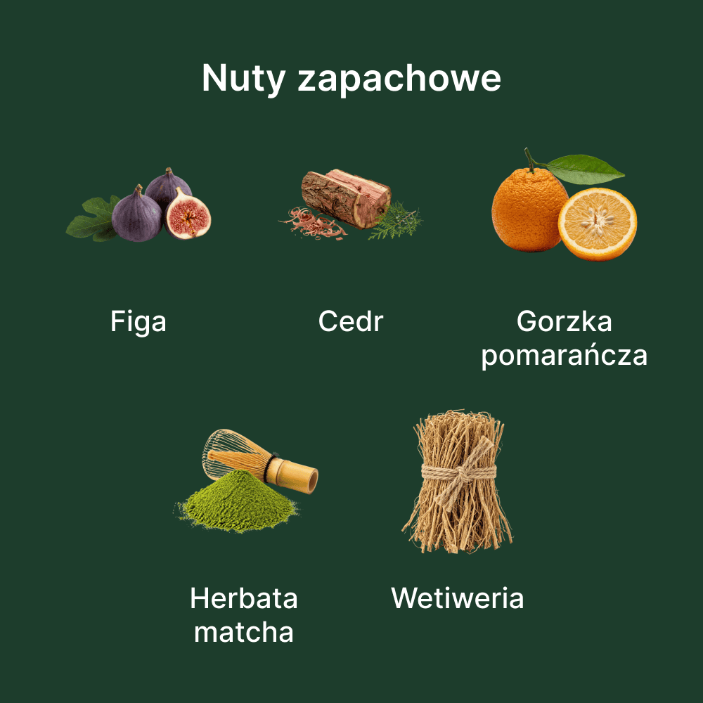 Le Labo The Matcha 26 EDP - nuty zapachowe: głowy, serca i bazy