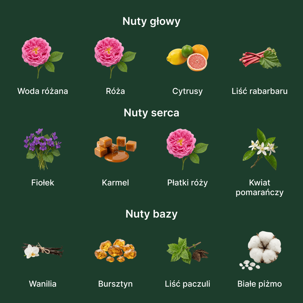 Mancera Royal Vanilla EDP - nuty zapachowe: głowy, serca i bazy