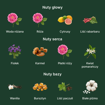 Mancera Royal Vanilla EDP - nuty zapachowe: głowy, serca i bazy