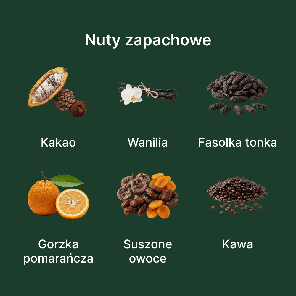 Montale Chocolate Greedy EDP - nuty zapachowe: głowy, serca i bazy