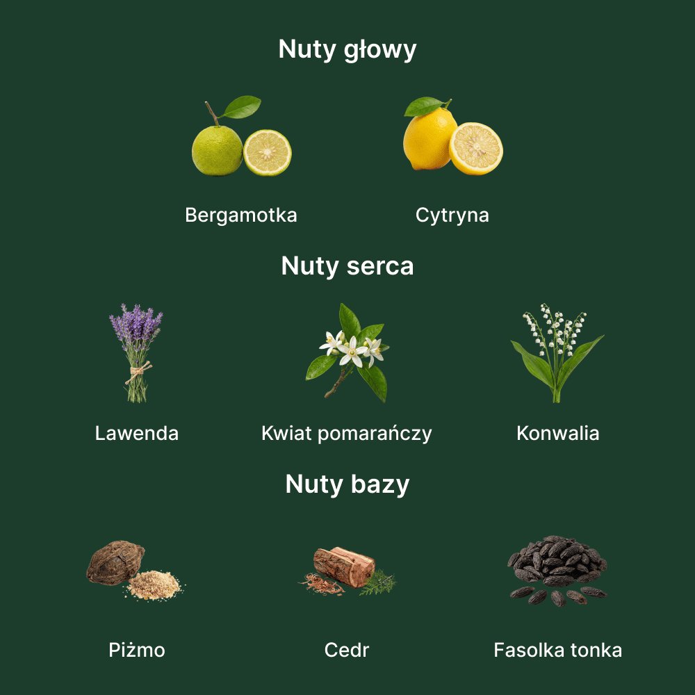 Orto Parisi Bergamask - nuty zapachowe: głowy, serca i bazy