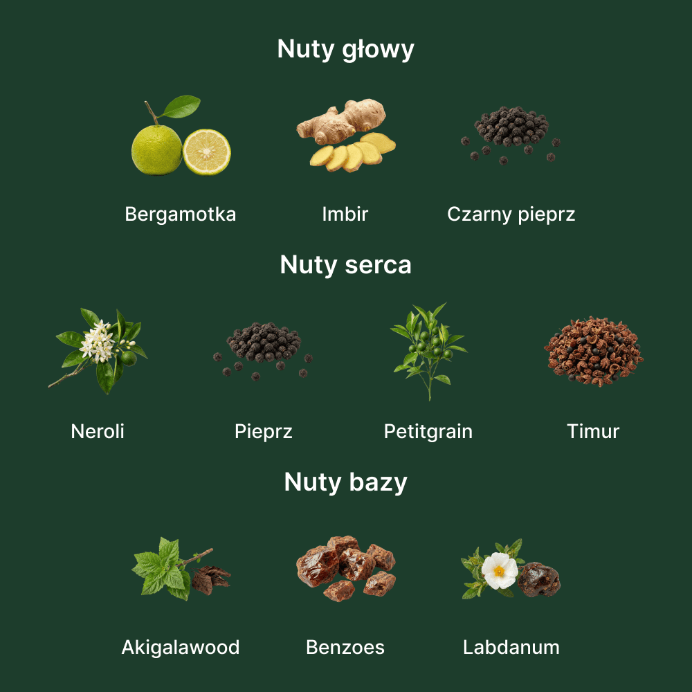 Parfums De Marly Castley EDP - nuty zapachowe: głowy, serca i bazy