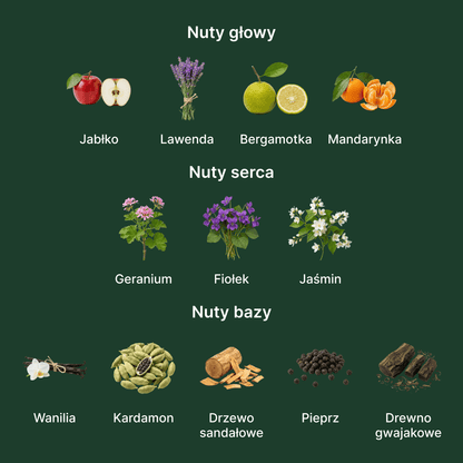 Parfums De Marly Layton EDP - nuty zapachowe: głowy, serca i bazy