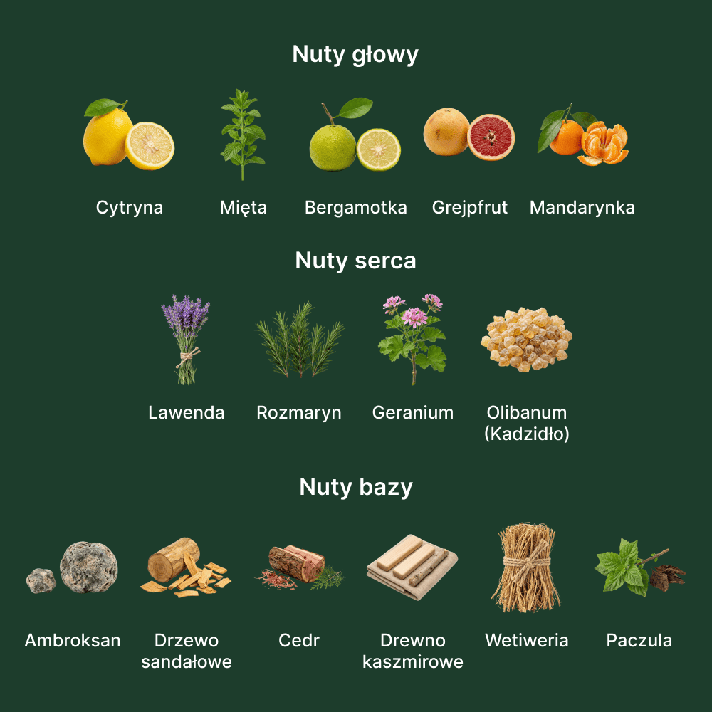 Parfums De Marly Sedley EDP - nuty zapachowe: głowy, serca i bazy