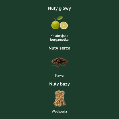Valentino Uomo Born In Roma Green Stravaganza EDT - nuty zapachowe: głowy, serca i bazy