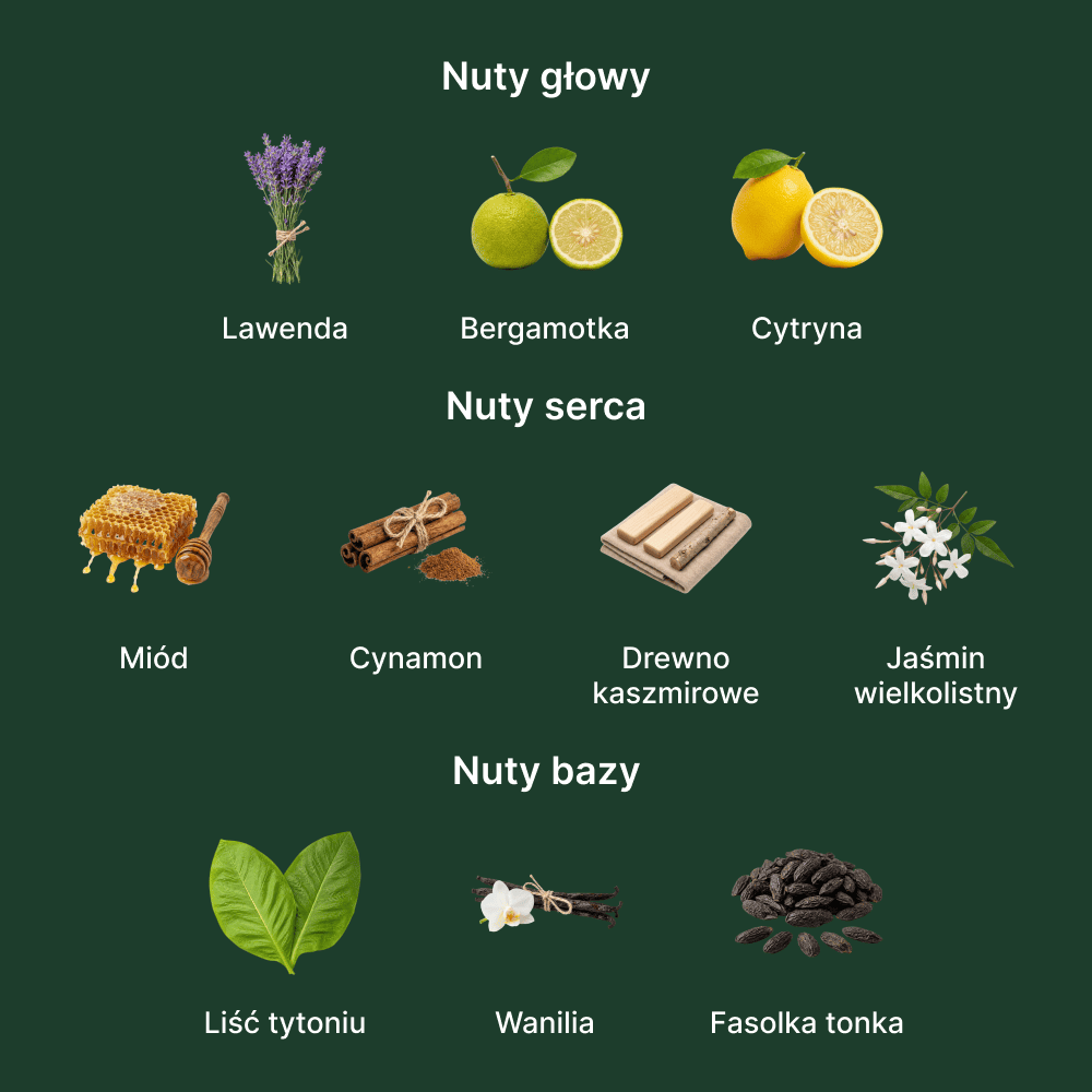 Xerjoff 1861 Naxos EDP - nuty zapachowe: głowy, serca i bazy