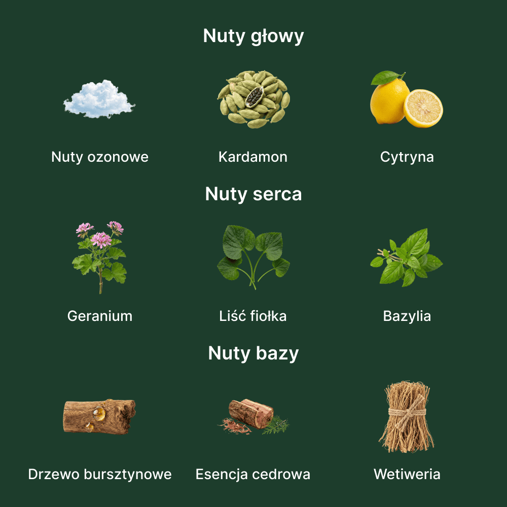 Yves Saint Laurent L'Homme Le Parfum - nuty zapachowe: głowy, serca i bazy